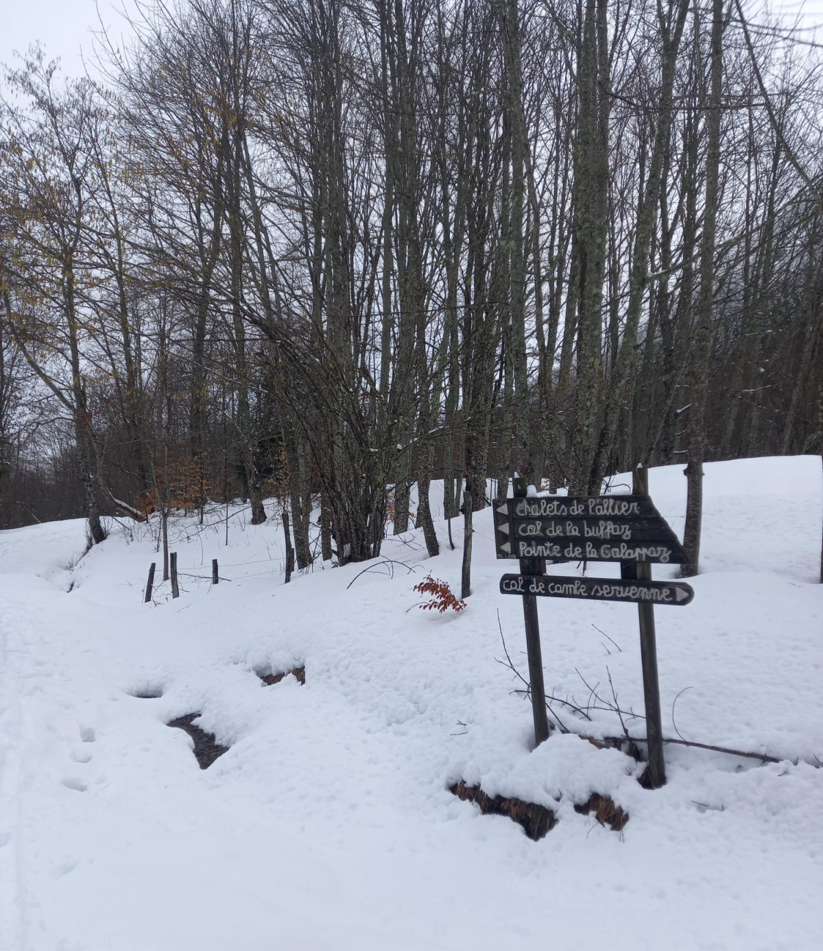 WhatsApp Image 2026 02 23 at 9 35 42 AM