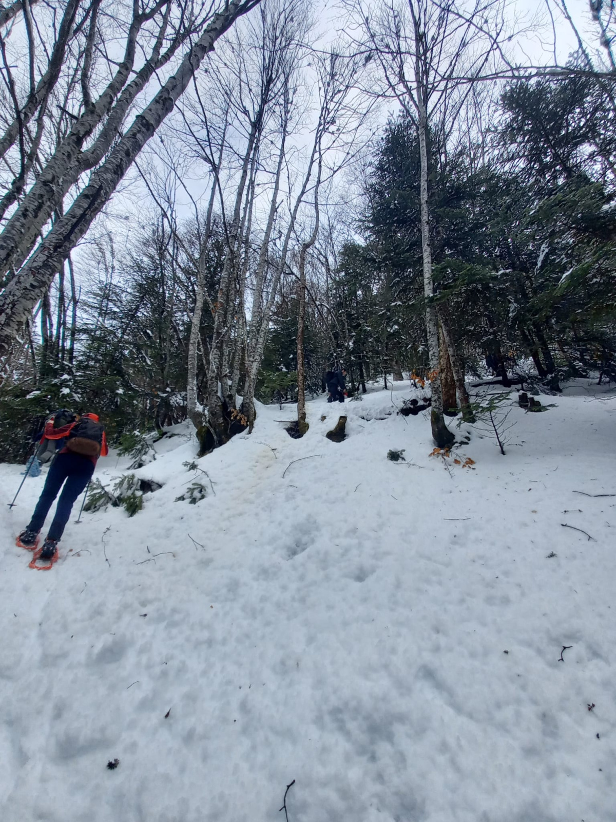 WhatsApp Image 2026 02 23 at 9 36 20 AM