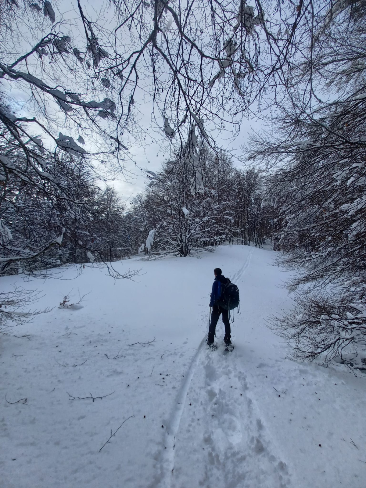 WhatsApp Image 2026 02 23 at 9 36 30 AM