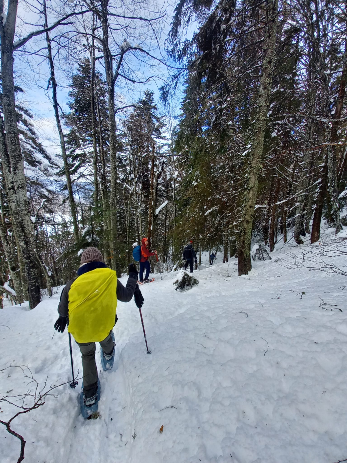 WhatsApp Image 2026 02 23 at 9 37 09 AM 5