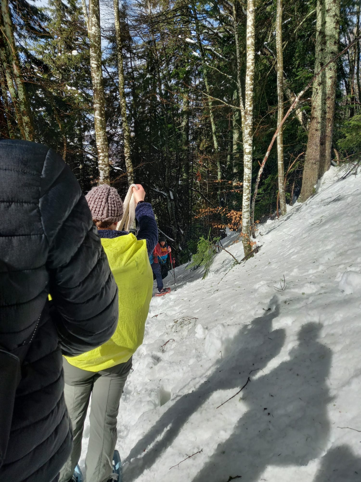 WhatsApp Image 2026 02 23 at 9 37 10 AM 4