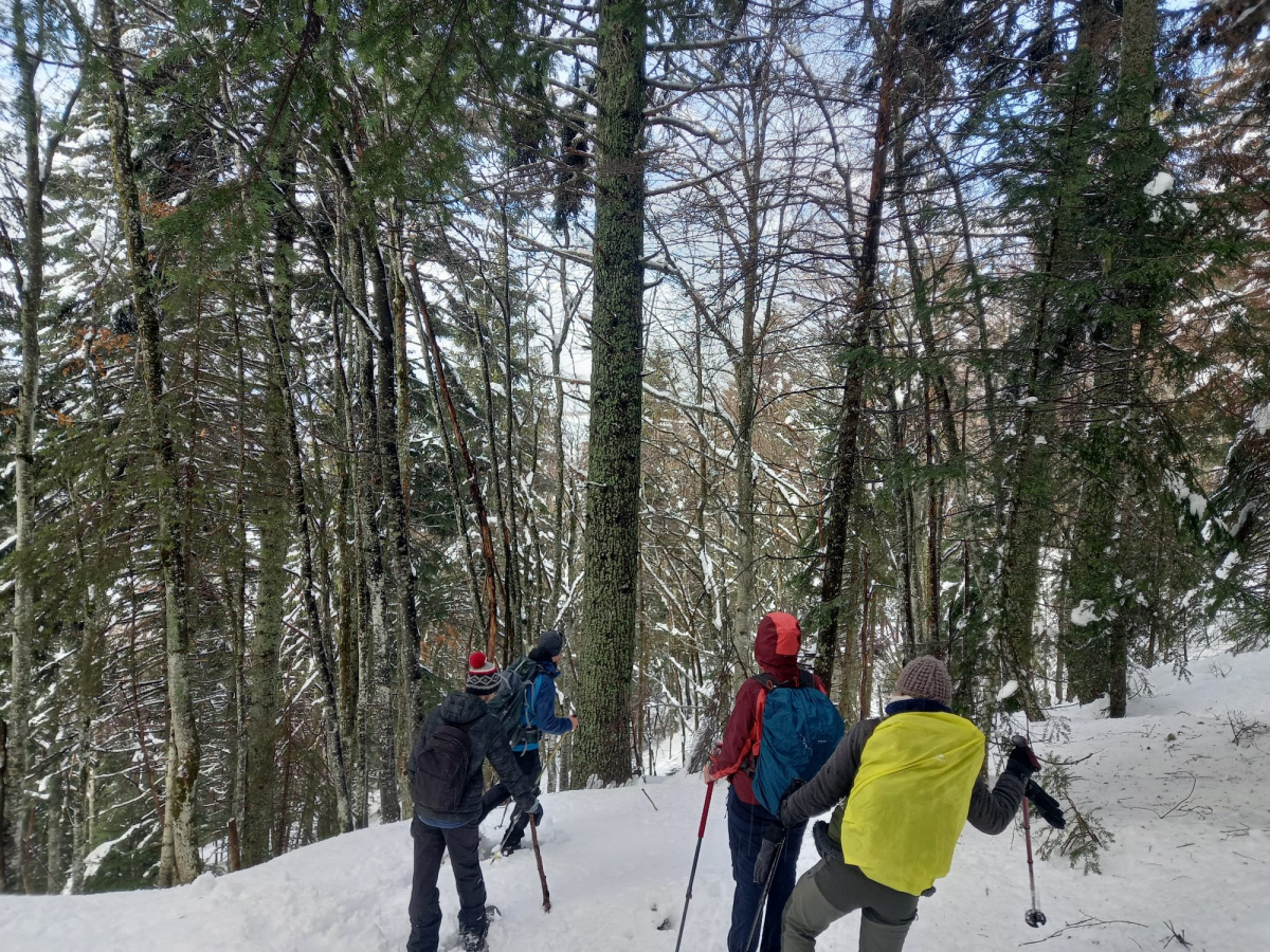 WhatsApp Image 2026 02 23 at 9 37 10 AM