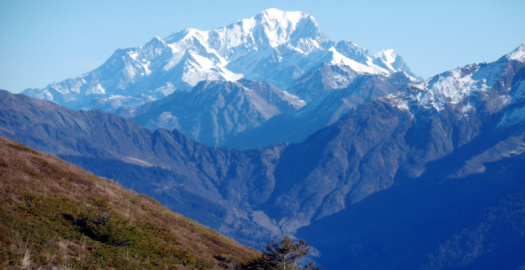 image article