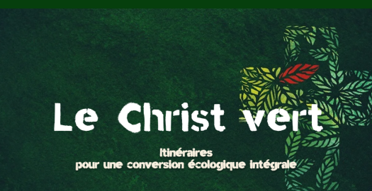 image article